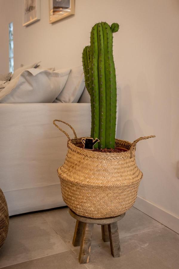 Flatguest Orinoco + Pool + Terrace + Garden Villa Mogán Eksteriør bilde